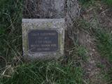 image of grave number 931295